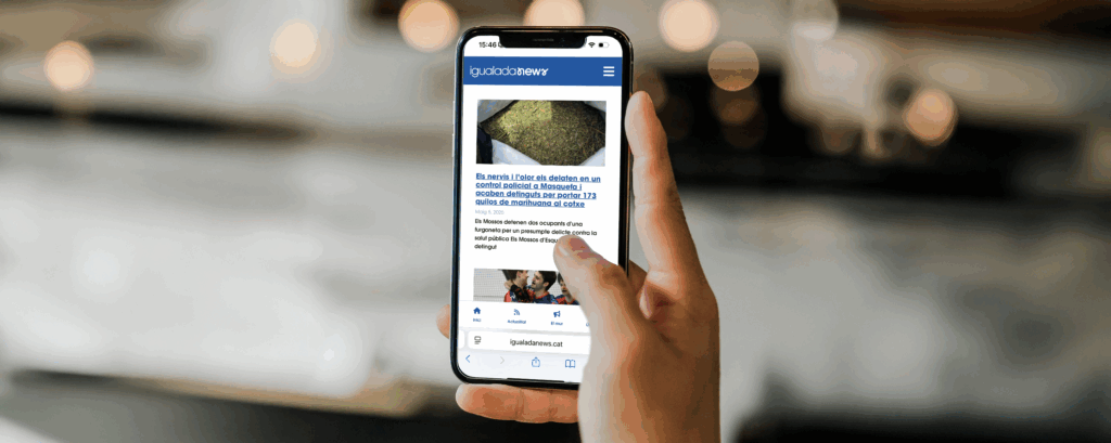 Serveis: Desenvolupament Web
